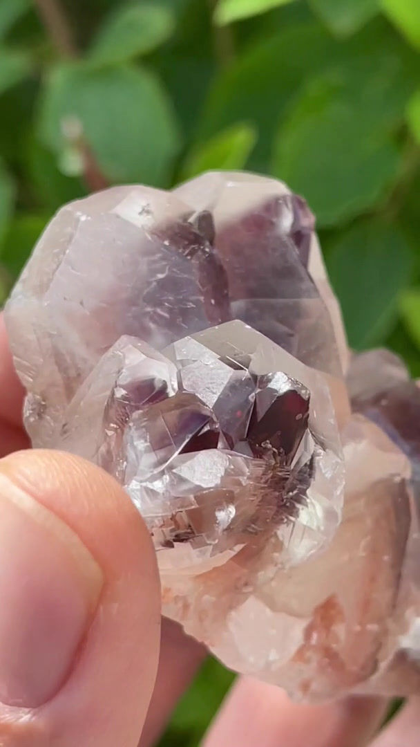 Thumbnail: Flower Calcite –Mina Buena Tierra, Santa Eulalia, Mexico