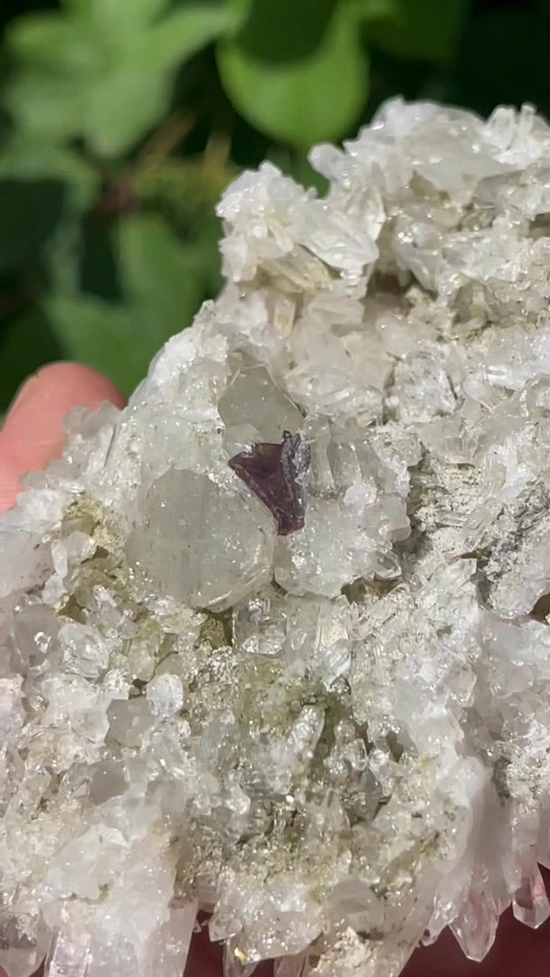 Thumbnail: Brookite on quartz – Tete Noire, Trient, Valais, Switzerland