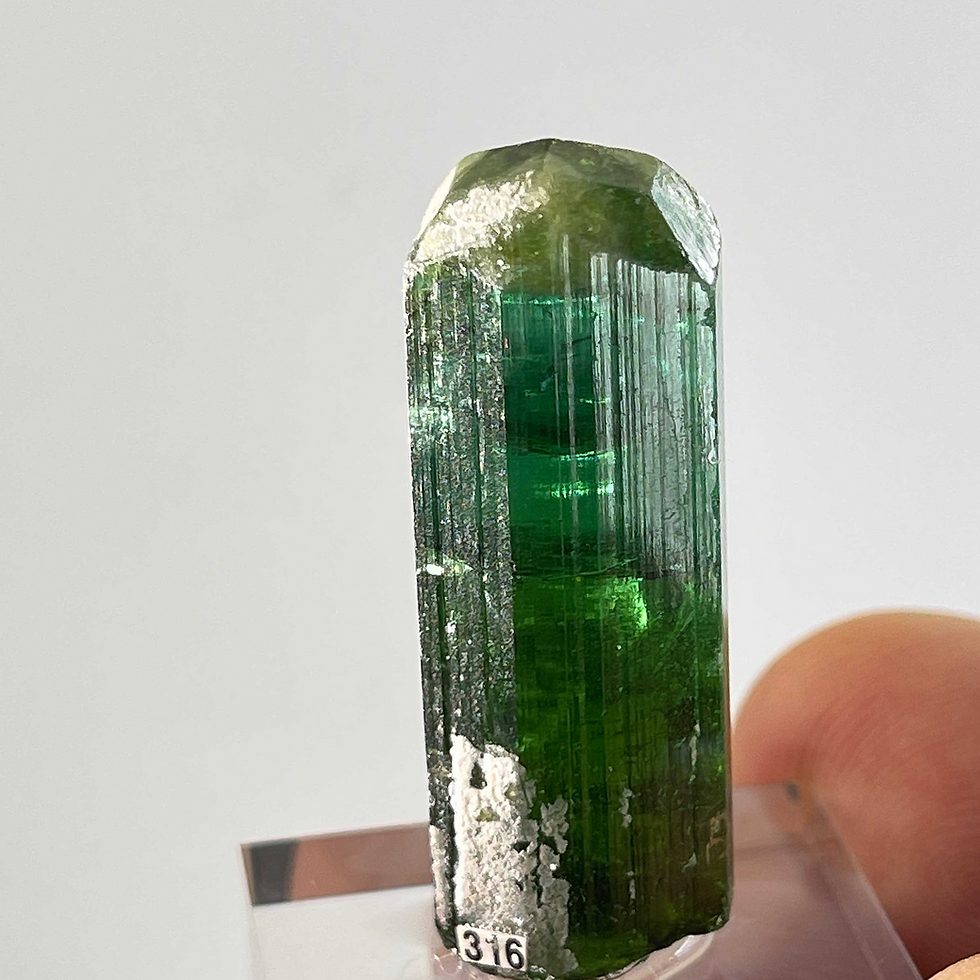 Thumbnail: Tourmaline (Verdelite) - Minas Gerais, Brazil