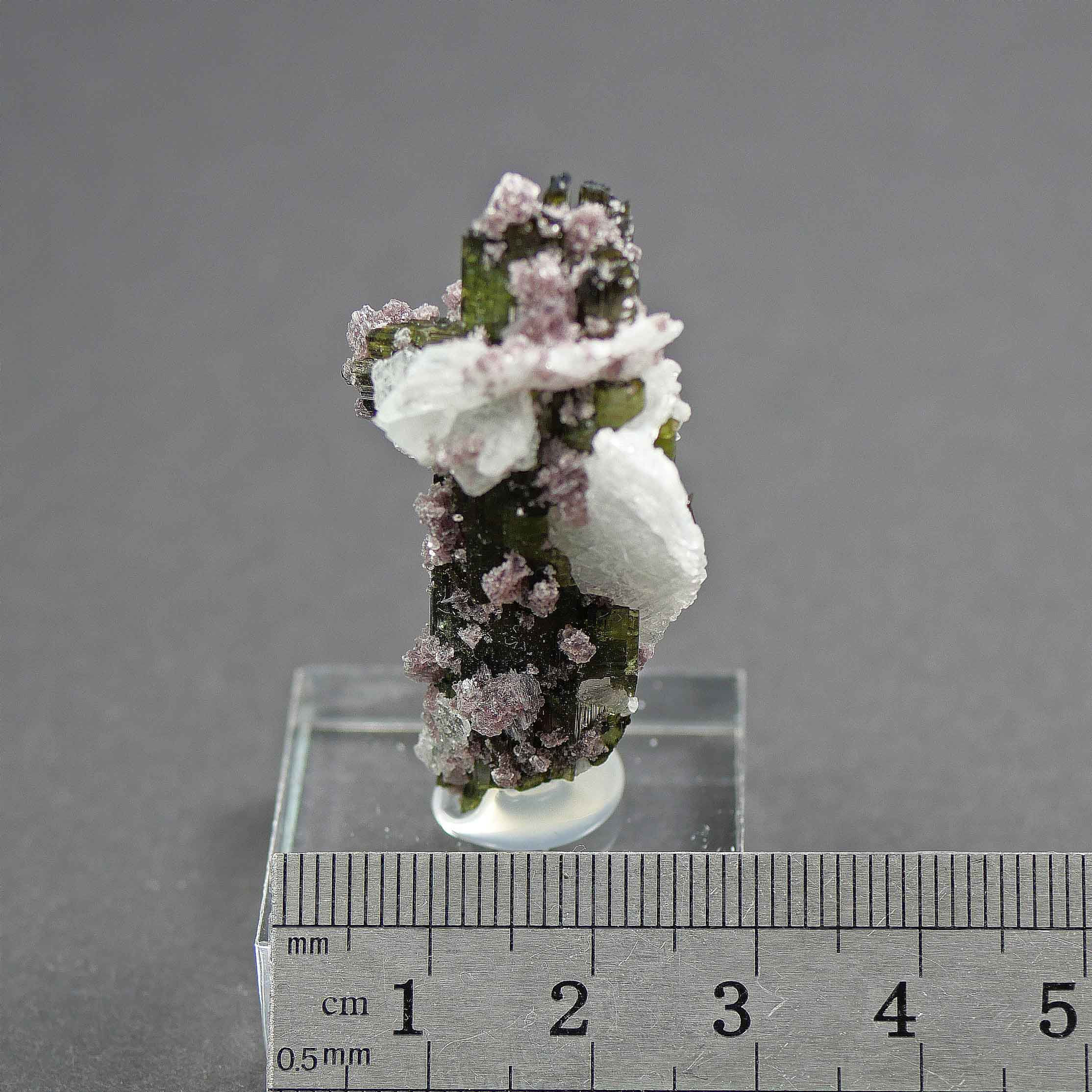 Tourmaline, Albite, Lepidolite - Pederneira Mine, Minas Gerais, Brazil