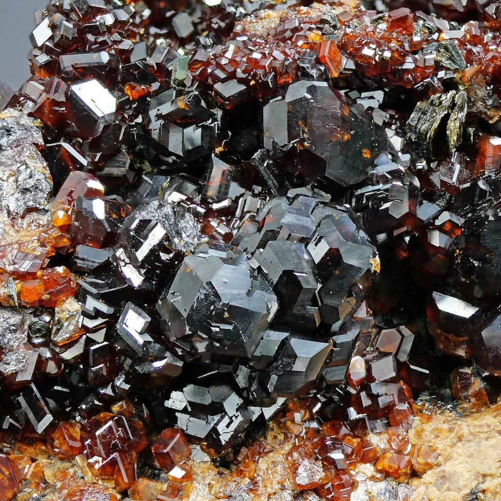 Thumbnail: Hessonite - Alpe della Mussa, Val d'Ala, Torino, Italy