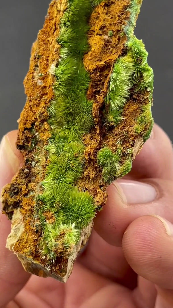 Thumbnail: Pyromorphite – St. Salvy, Tarn, France