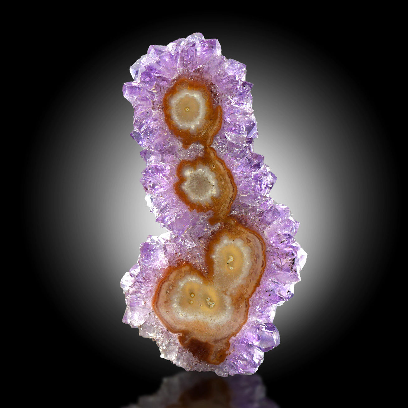 Amethyst-Anschliff mit Sphärolithen und Achatkern - Brasilien