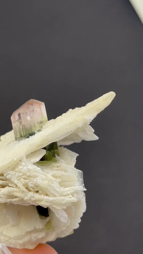 Thumbnail: Tourmaline, Cleavelandite – Stak Nala, Skardu, Baltistan, Pakistan