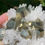 Thumbnail: Pyrite on Needle Quartz – Huanzala Mine, Huanuco, Peru