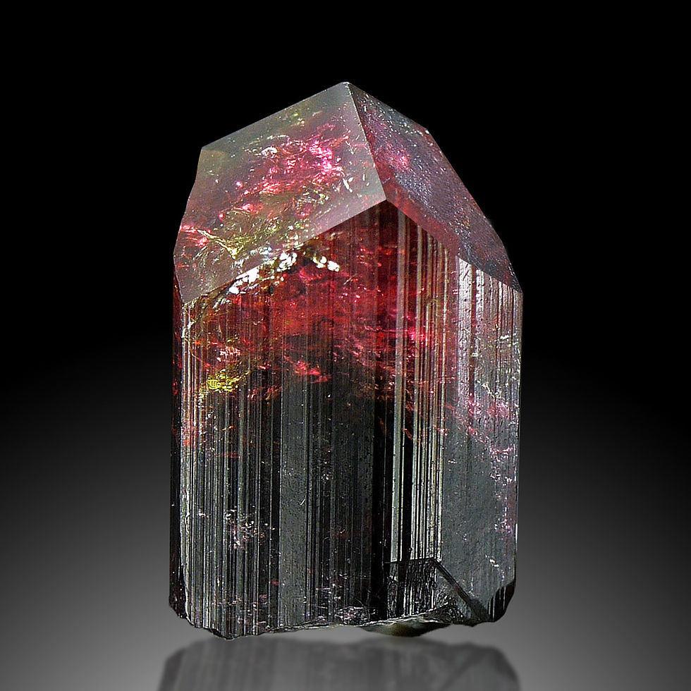 Thumbnail: Tourmaline var. Liddicoatite, 61 ct - Todom Ilapa, Sahatany Valley, Madagascar
