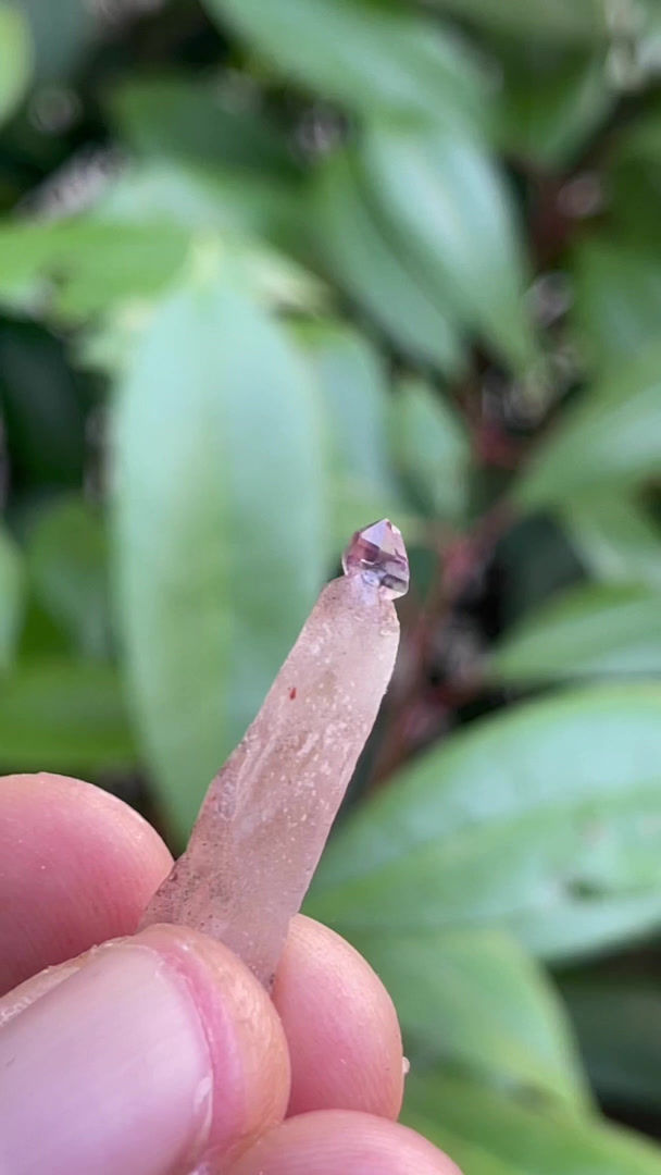 Thumbnail: Amethyst Negative Scepter - Kakamunurla Mine, Karur, Tamil Nadu, India