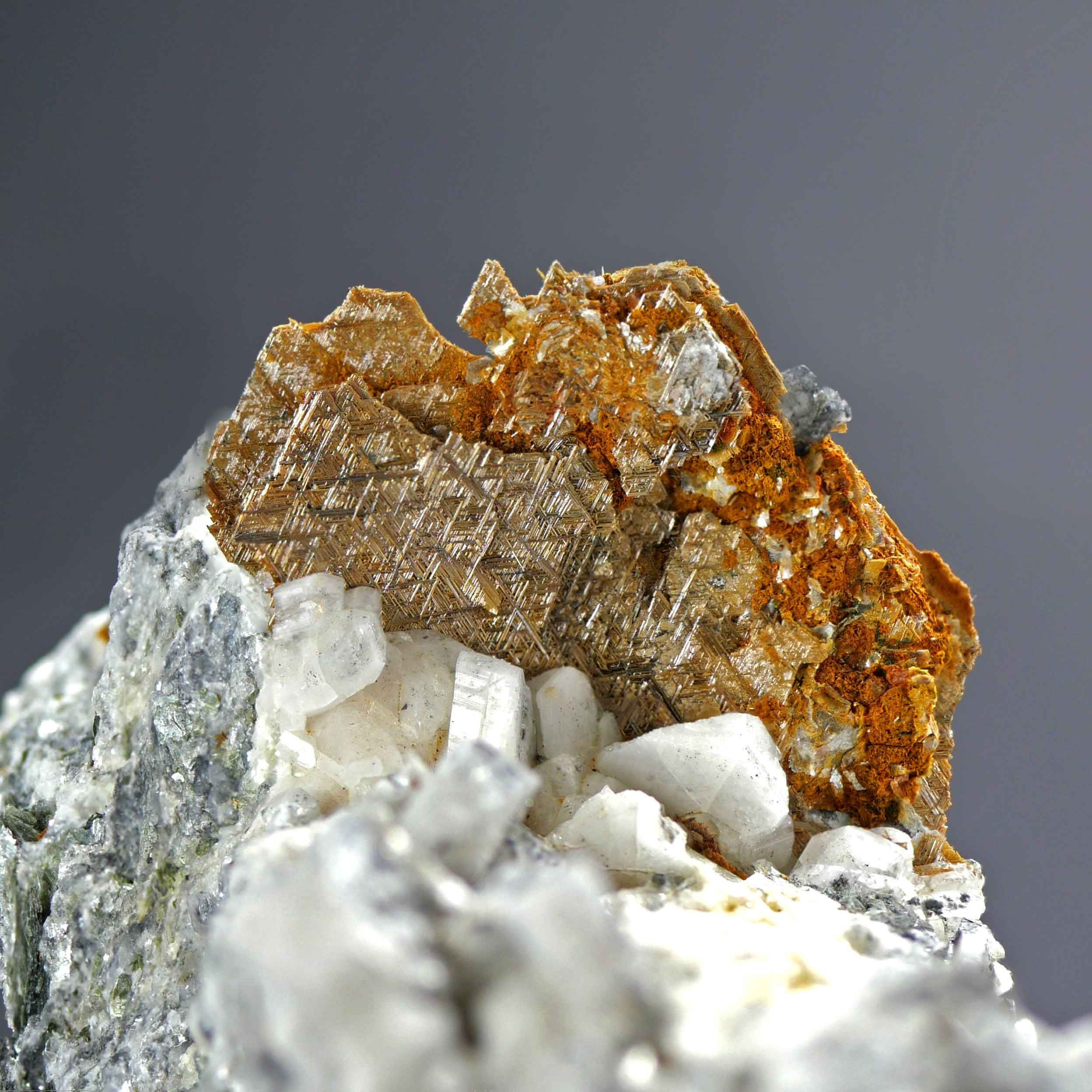 Rutile (sagenite pseudomorphs after ilmenite) – Arzo ridge, Ticino, Switzerland