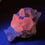 Thumbnail: Calcite on Fluorite - Xianghualing Mine, Hunan, China