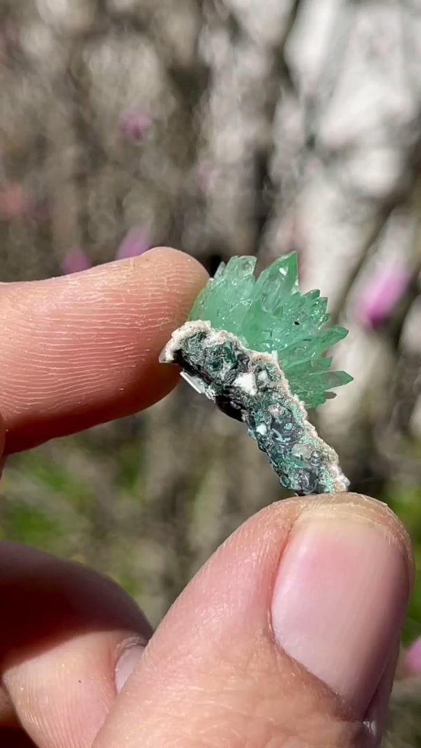 Thumbnail: Apophyllit – Poona, Indien