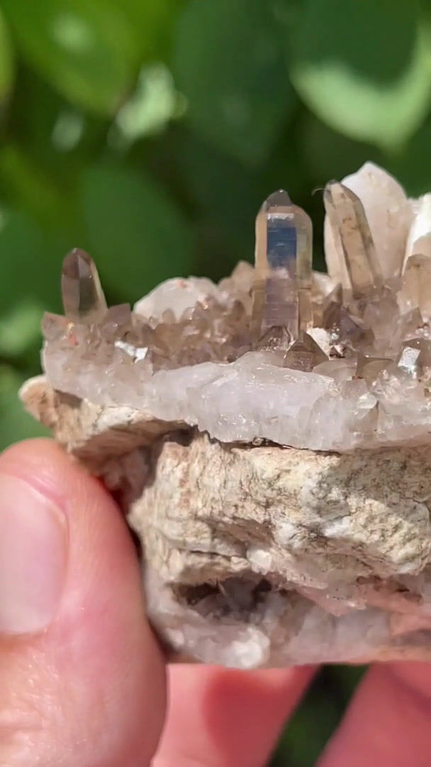 Thumbnail: Smoky quartz – Elfer Kogel, Bramberg, Austria