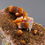 Thumbnail: Wulfenite – Erupción Mine, Los Lamentos Mts, Chihuahua, Mexico
