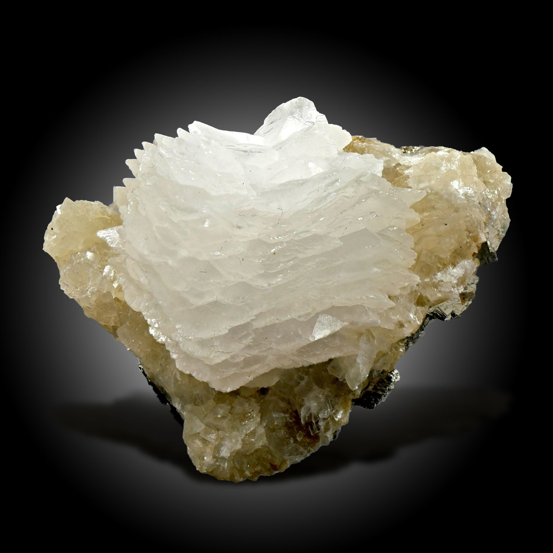 Calcit – Turt, Satu Mare, Rumänien