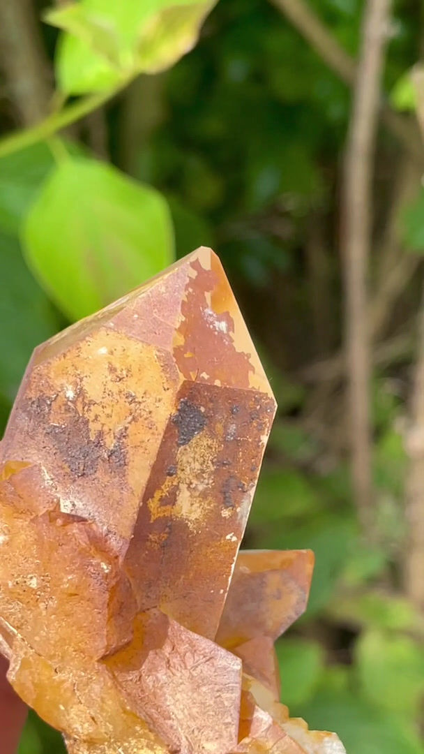 Thumbnail: Rock crystal, limonite – Schynschlucht, Graubünden, Switzerland