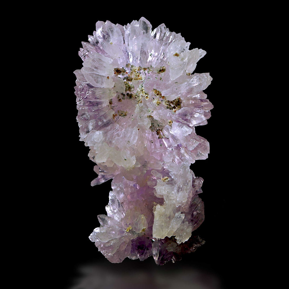Thumbnail: Amethyst / Amethystflower – Irai, Rio Grande do Sul, Brazil