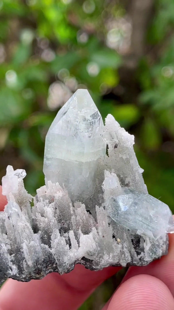 Thumbnail: Apophylite - Poona, Maharashta, India