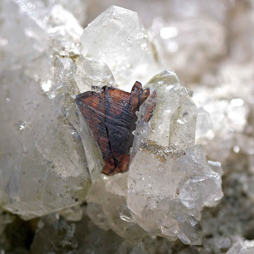 Thumbnail: Brookite on quartz – Tete Noire, Trient, Valais, Switzerland