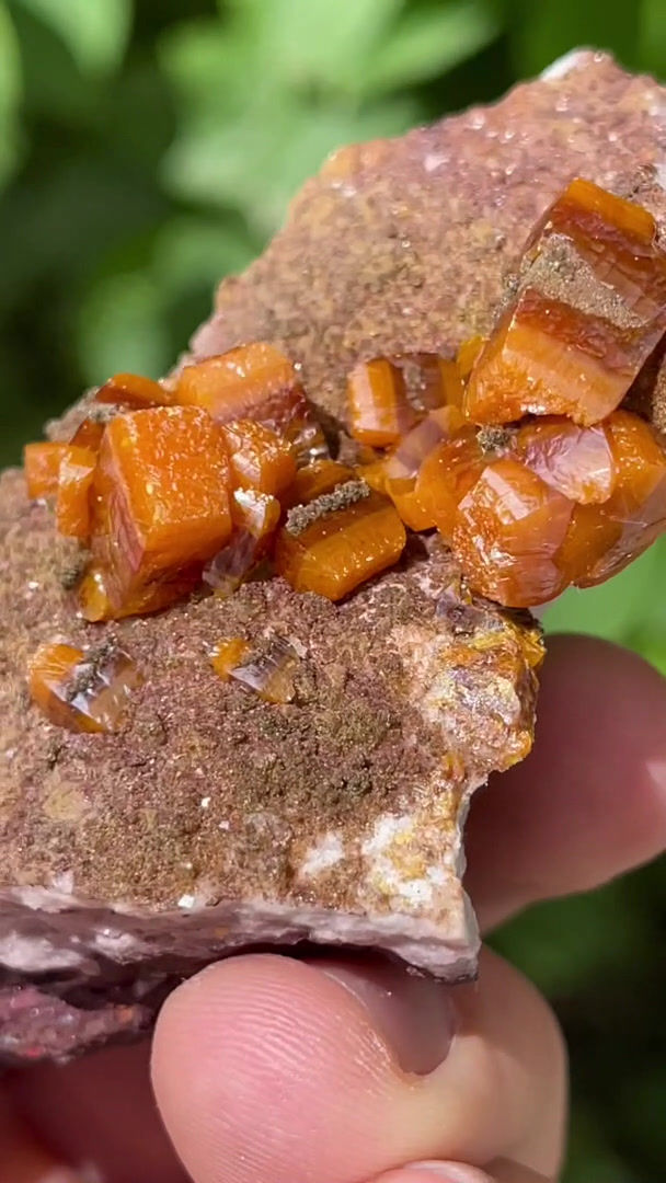 Thumbnail: Wulfenite – Erupción Mine, Los Lamentos Mts, Chihuahua, Mexico
