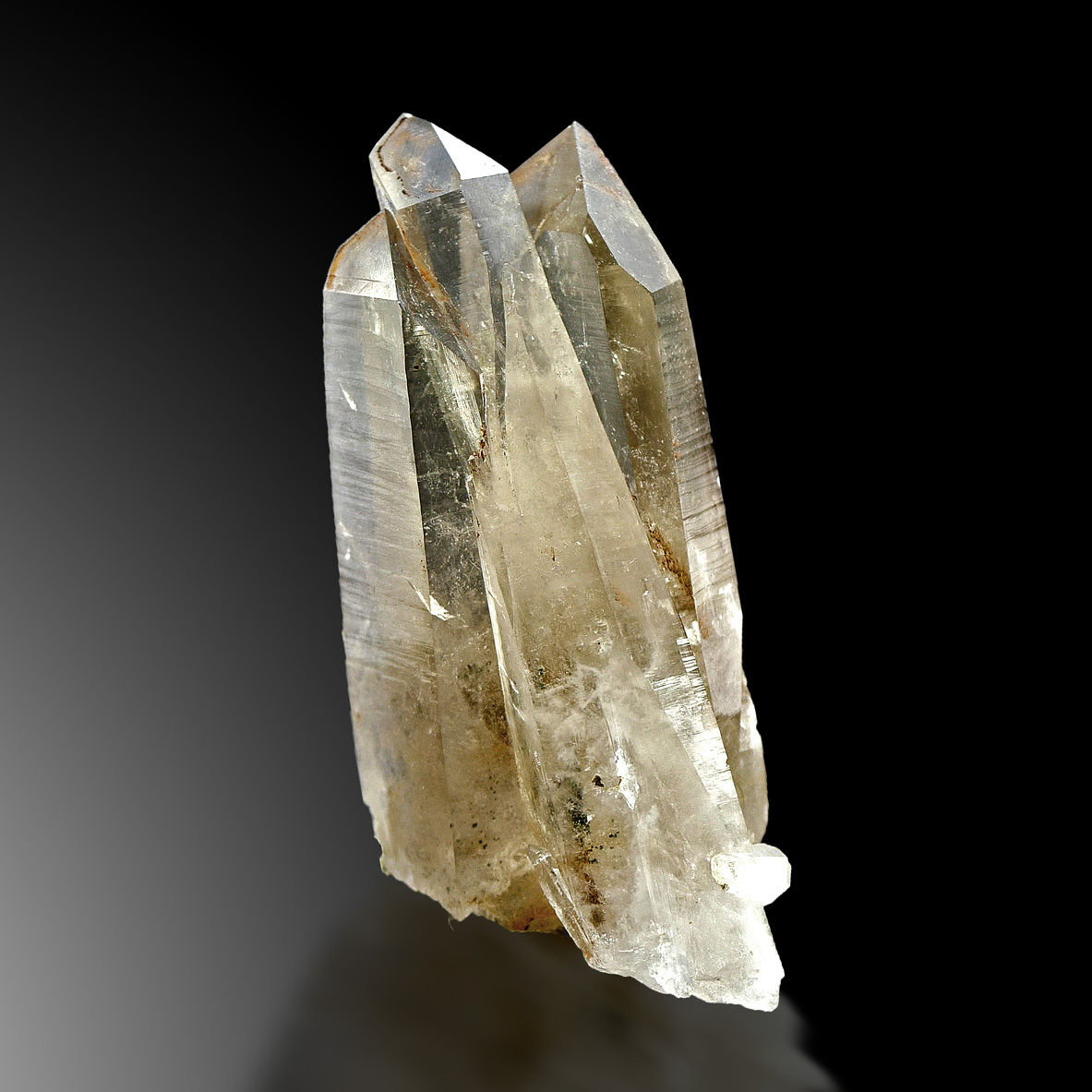 Bergkristall – Gourrama, Er Rachida, Marokko