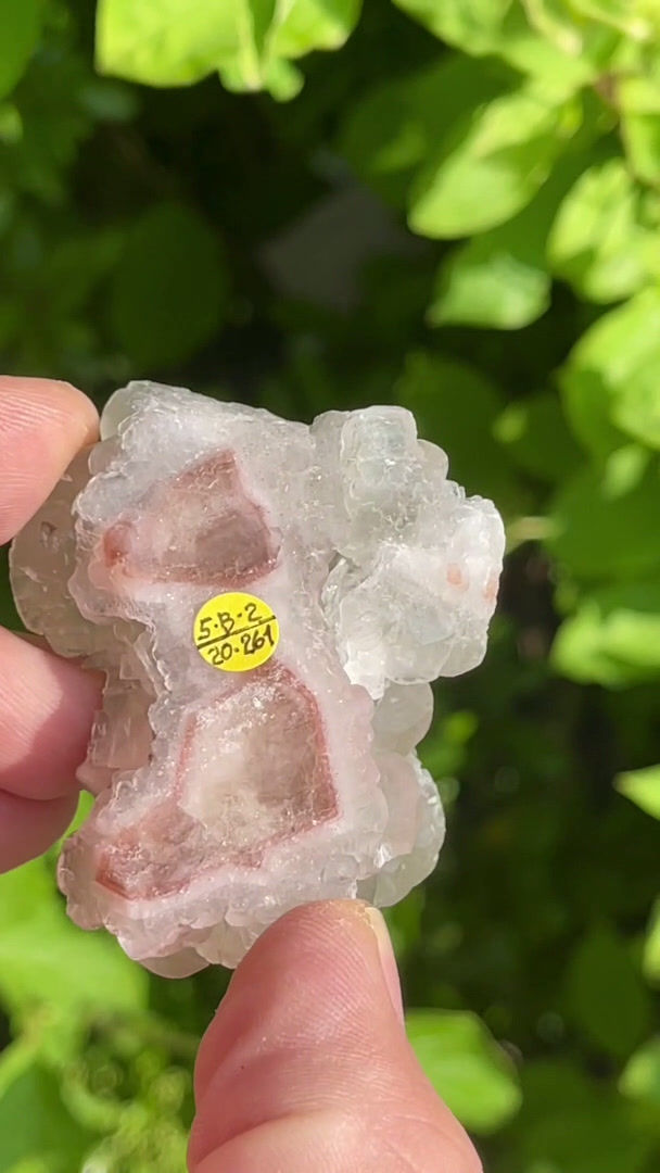 Miniaturbild: Calcit, Pyrit - Fuzichong, Cenxi Co., Wuzhou, Guangxi, China
