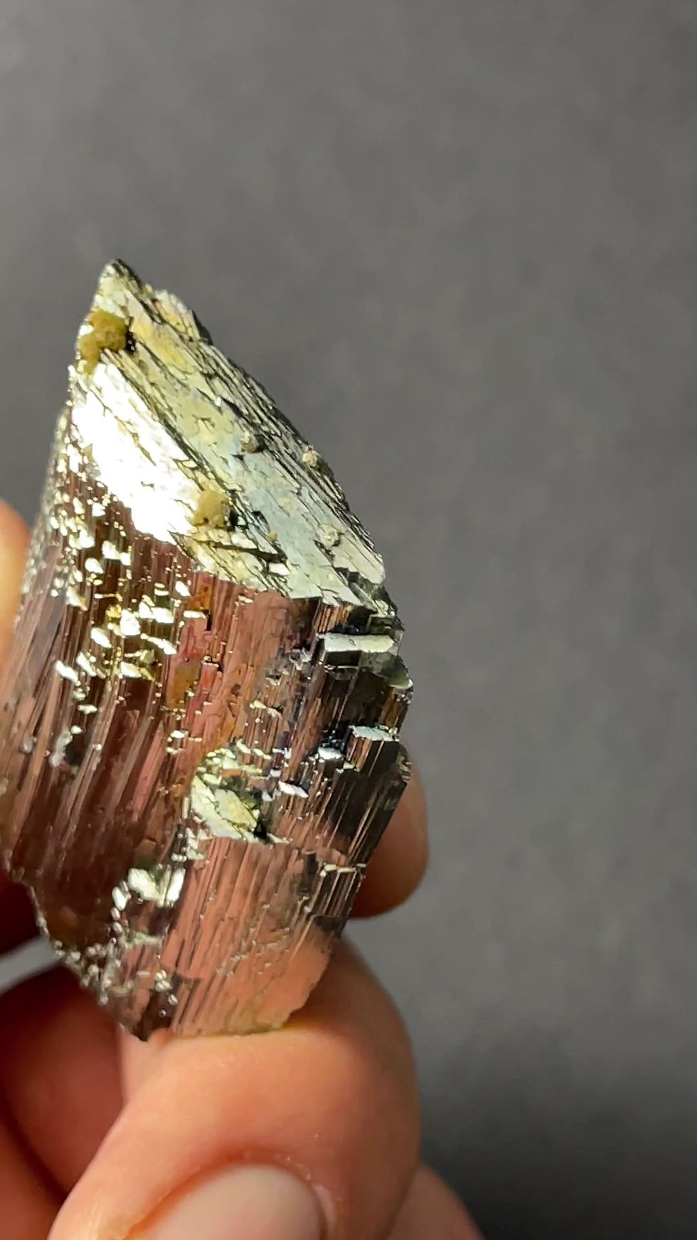 Thumbnail: Arsenopyrite - Panasqueira, Portugal