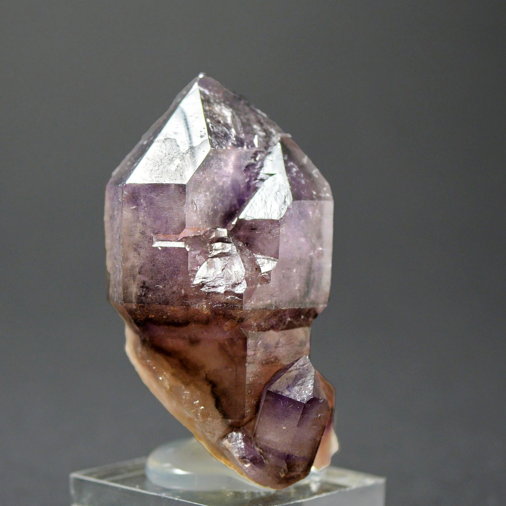 Amethyst Scepter Quartz - Don Nicolas Mine, Cordoba, Argentina