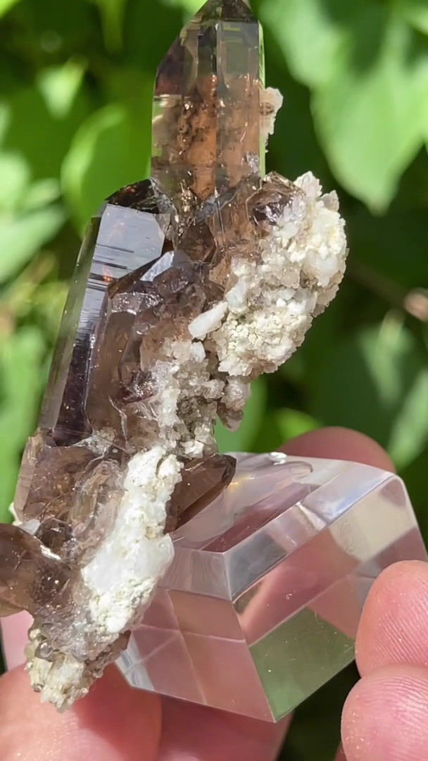 Thumbnail: Smoky quartz – Galmihorn, Valais, Switzerland