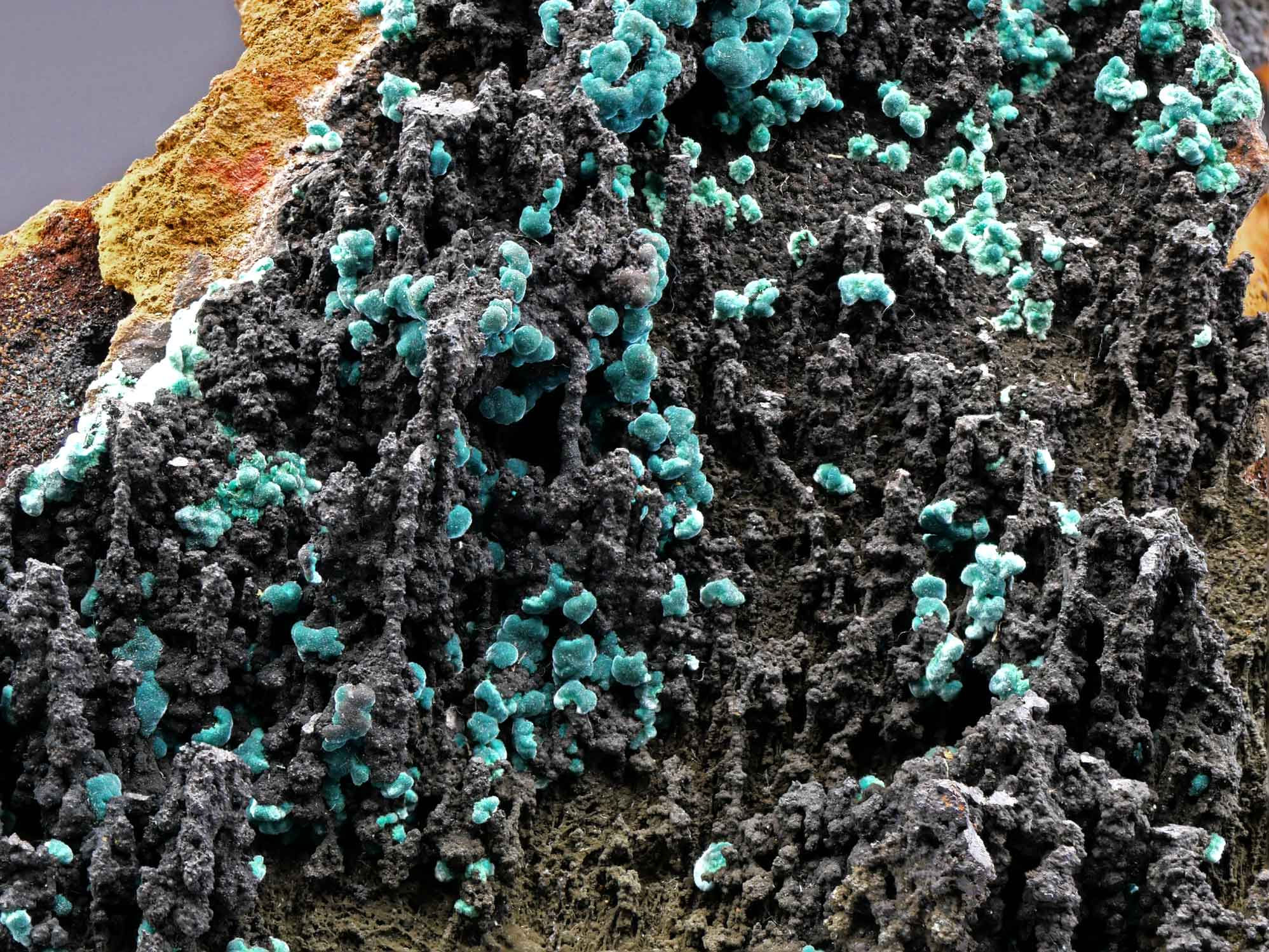 Rosasit – Ojuela Mine, Durango, Mexiko