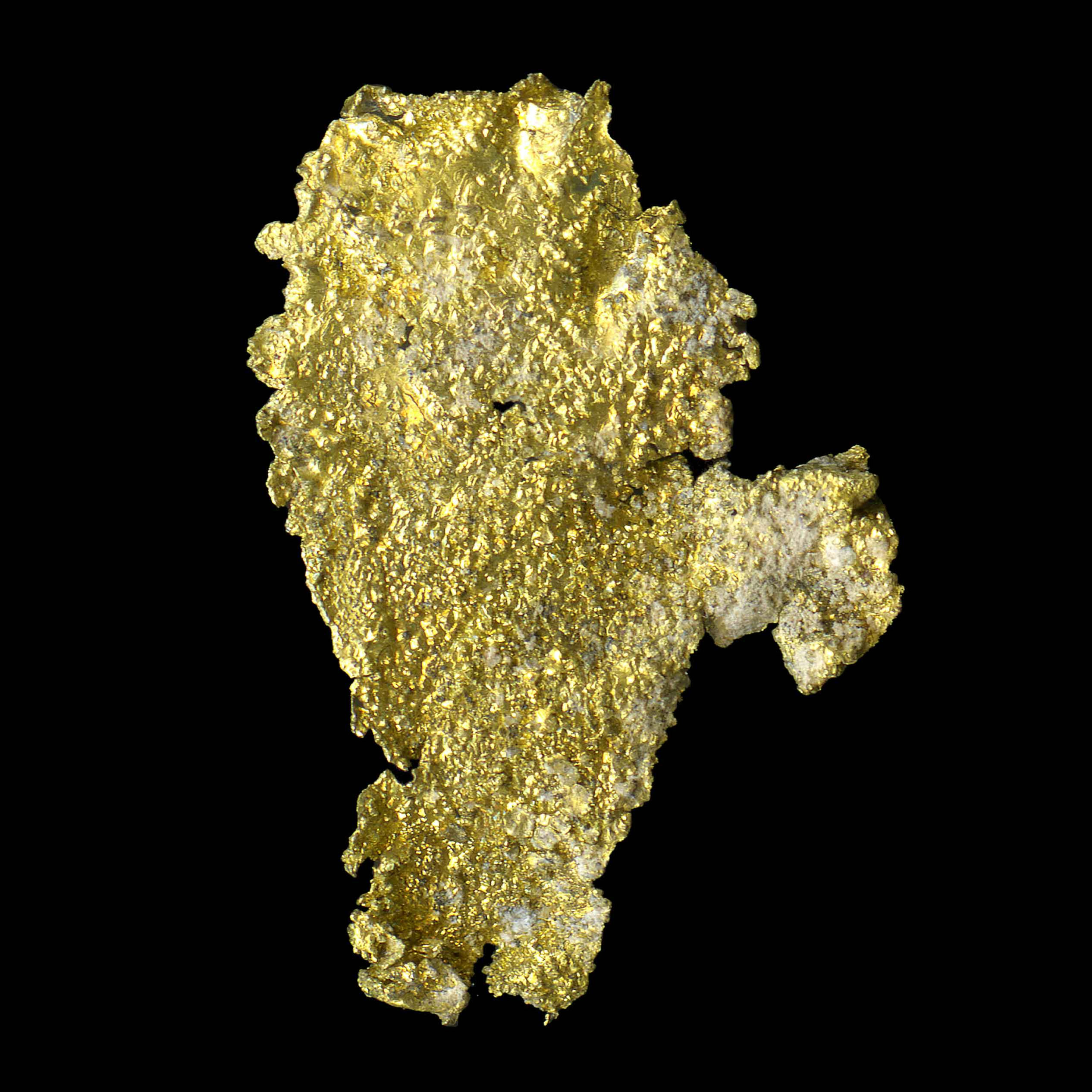 Gold leaf – Verespatak, Transylvania, Romania
