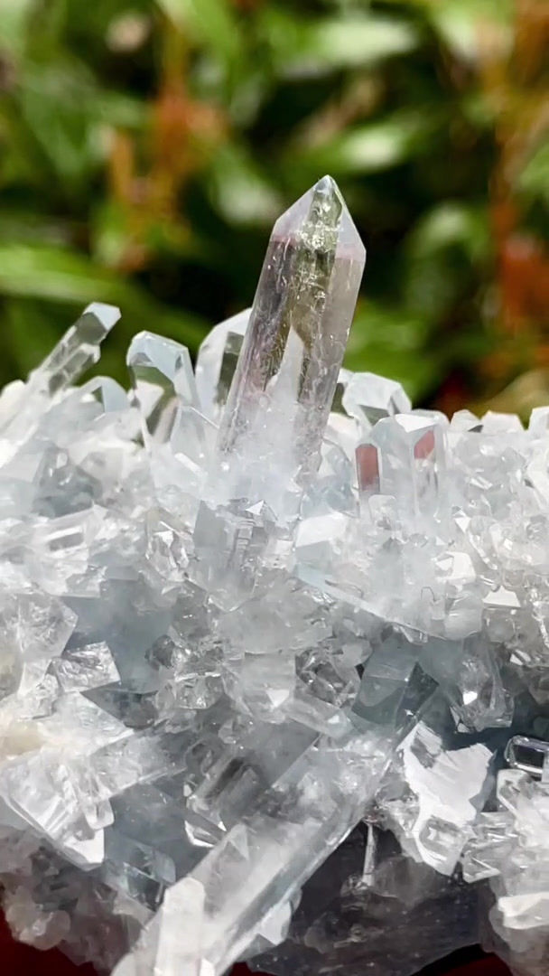 Thumbnail: Celestine – Sakoany, Katsepy, Boeny, Madagascar