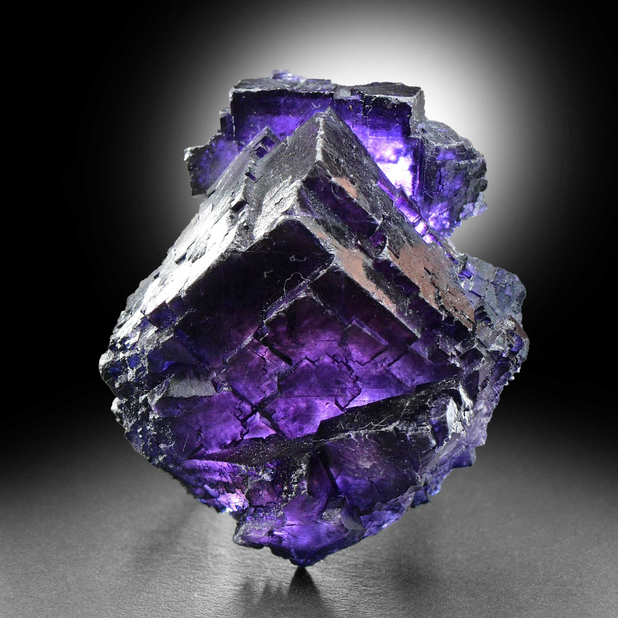 Fluorit – Melchor Múzquiz, Acuña, Estado de Coahuila de Zaragoza, Mexico