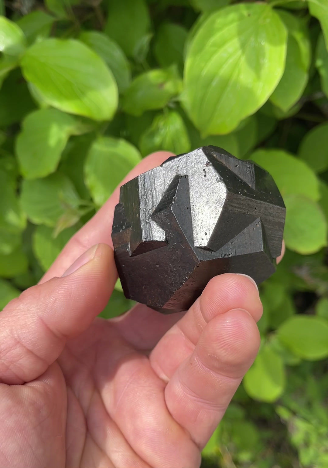 Iron Cross Pyrite Twin – Gachalá, Cundinamarca, Colombia