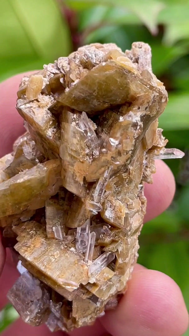 Thumbnail: Siderite - Mésage Mine, Saint-Pierre-de-Mésage, Grenoble, France