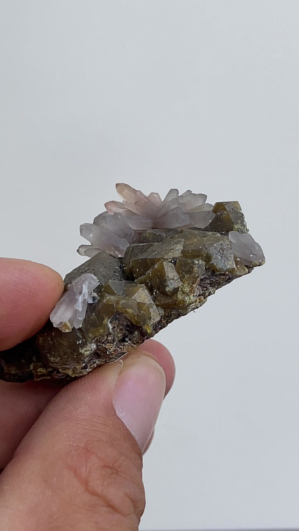 Thumbnail: Amethyst on Grossular - Sierra de Cruces, Coahuila, Mexico