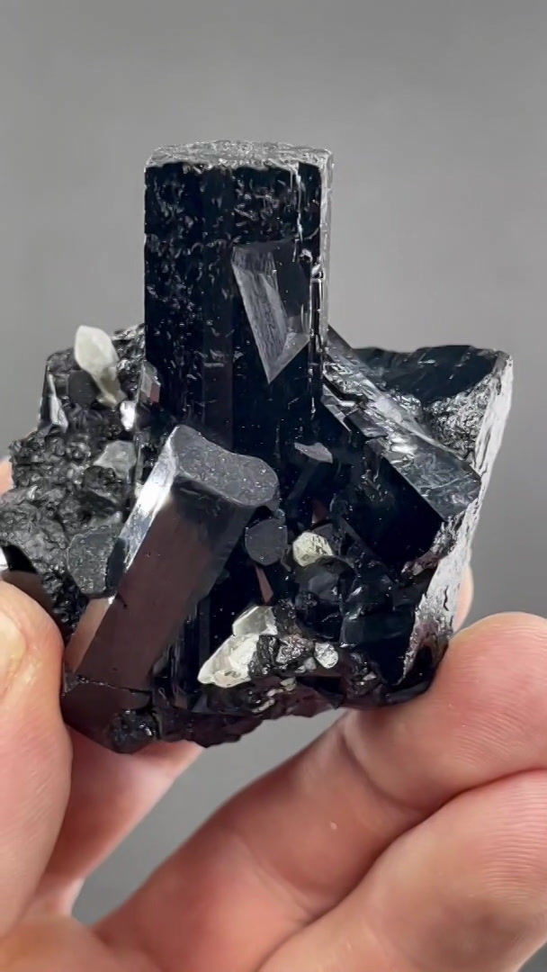 Thumbnail: Tourmaline Var. Schörl, Quartz – Farm Brabant, Erongo, Namibia