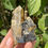 Thumbnail: Wolframite, Quartz, Apatite – Panasqueira, Barroca Grande, Portugal