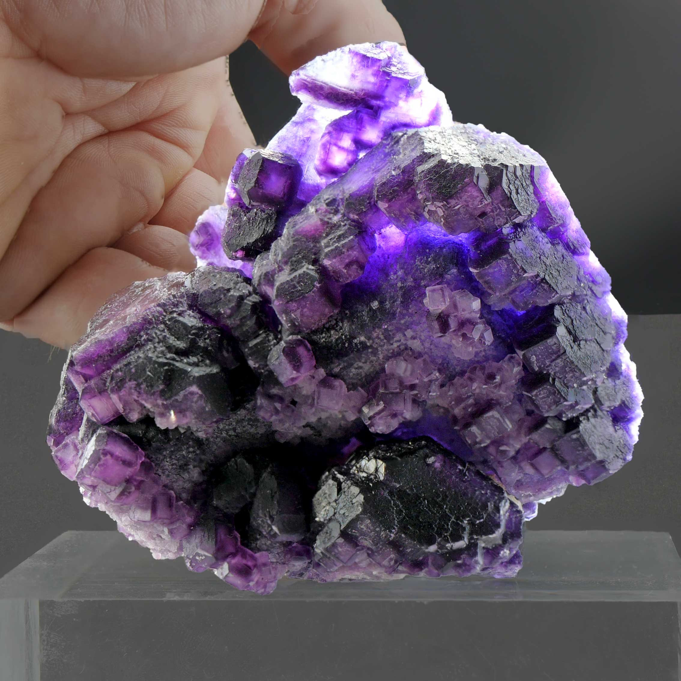 Fluorit – Huanggang Mine #4, Innere Mongolei, China