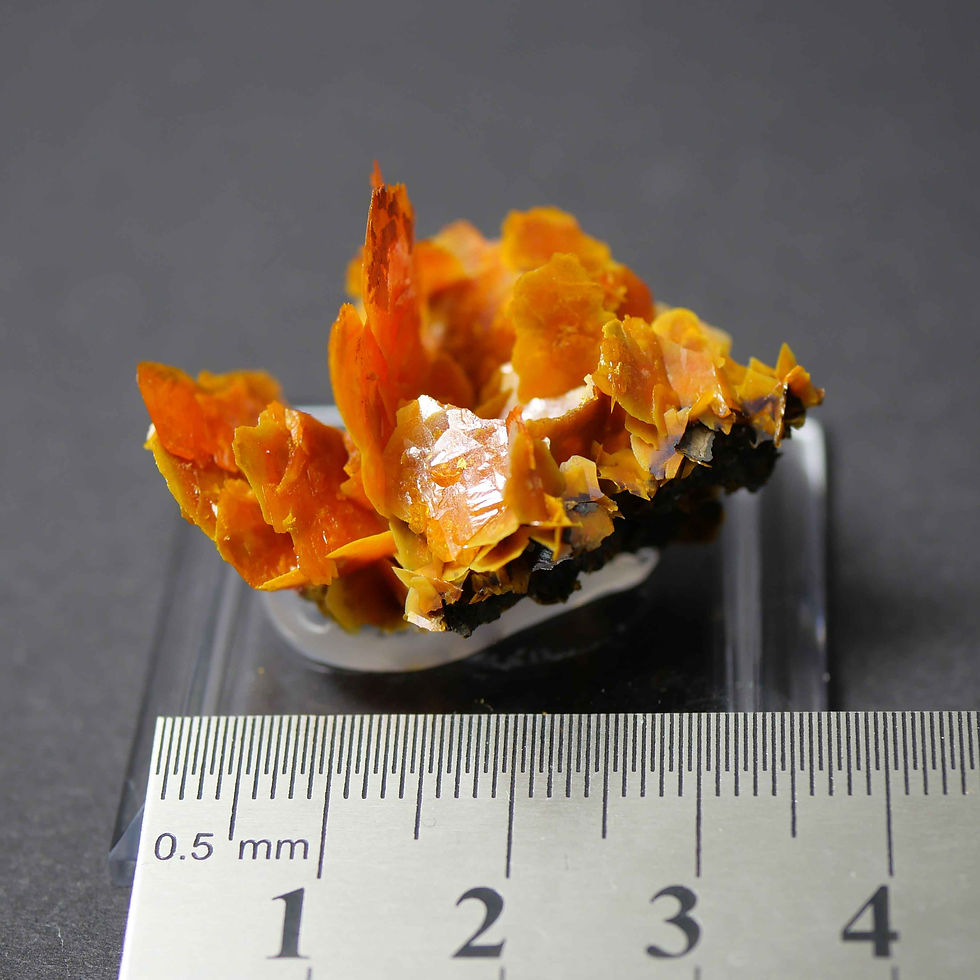 Thumbnail: Wulfenite - Jianshan Mine, Ruoquiang, Xingjiang, China