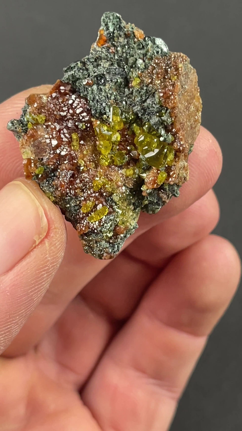 Thumbnail: Hessonite with clinochlore - Alpe della Mussa, Val d'Ala, Torino, Italy