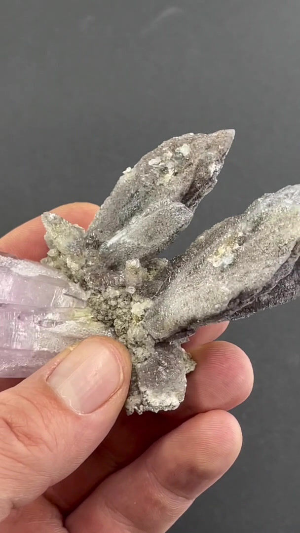 Thumbnail: Amethyst – Las Vigas, Veracruz, Mexico