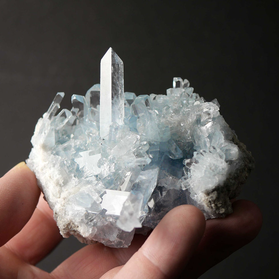 Celestine – Sakoany, Katsepy, Boeny, Madagascar