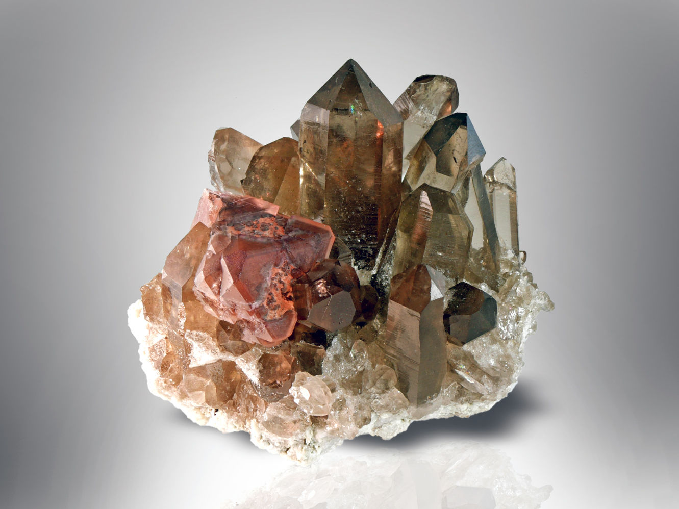 Smoky Quartz with Fluorite - Rufibach Kluft, Zinggenstock, BO, Switzerland