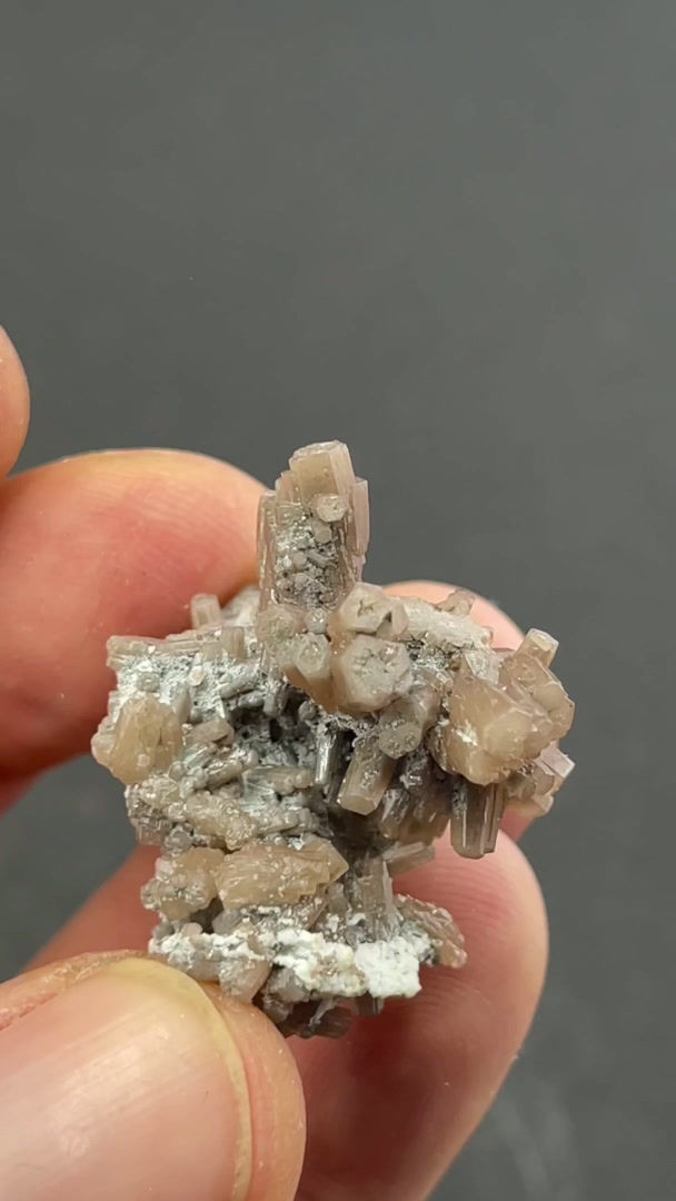 Thumbnail: Pyromorphite – Rosenberg, Braubach, Rhineland-Palatinate, Germany