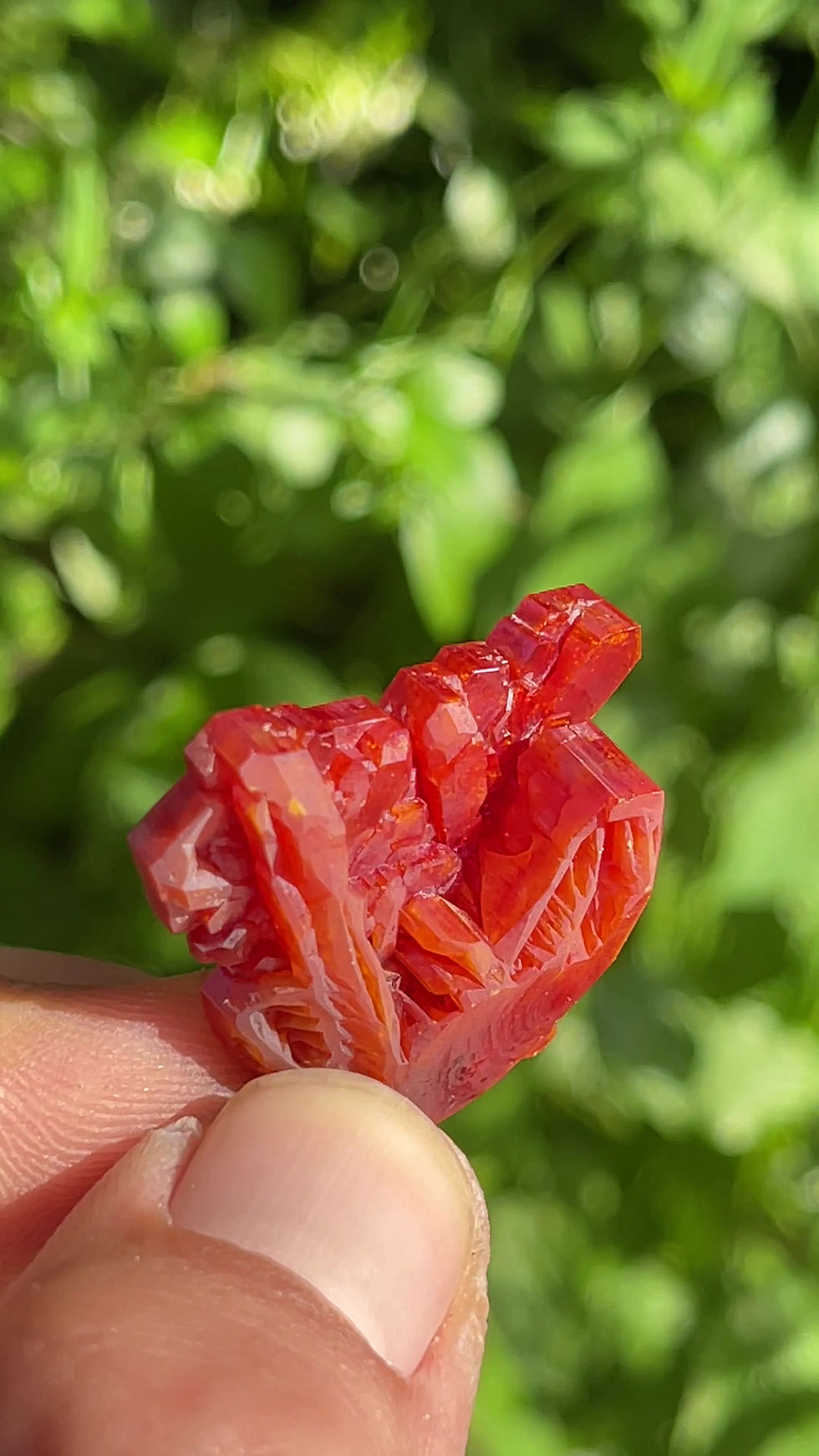 Thumbnail: Vanadinite - Mibladen, Midelt, Draa-Tafilalet, Morocco