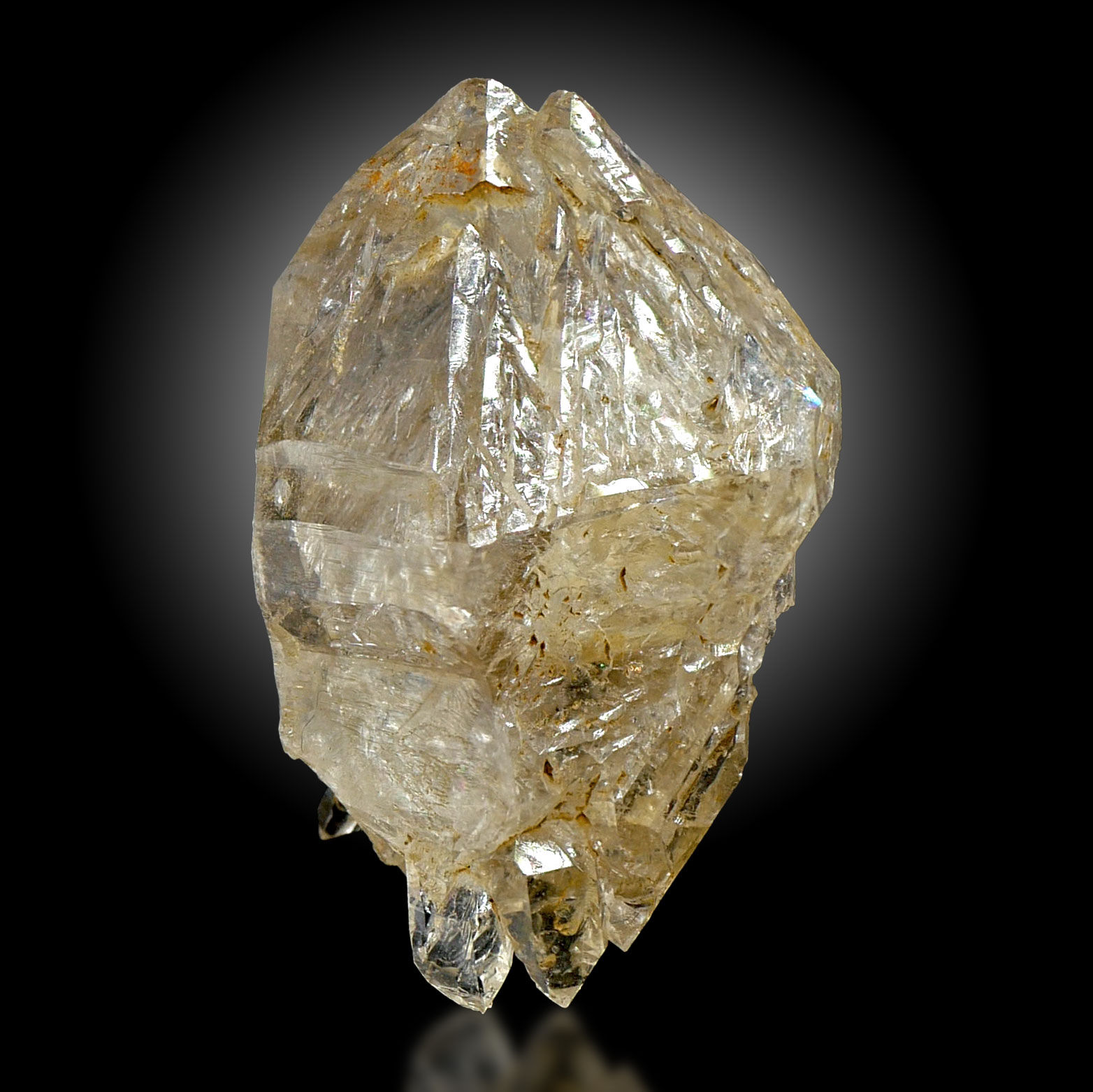 Fensterquarz mit Libelle – Val d'Illiez, Wallis, Schweiz