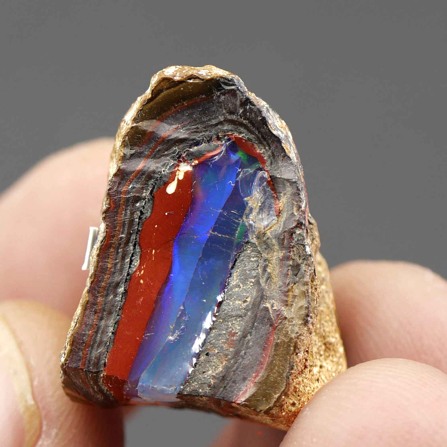 Opal / Yowah-Nut – Queensland, Australien