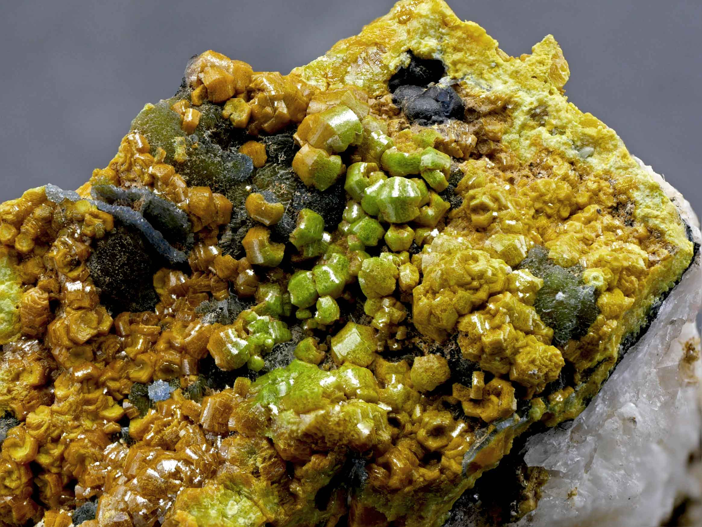 Mimetesit Var. Kampylit – Dry Gill Mine, Cumbria, England