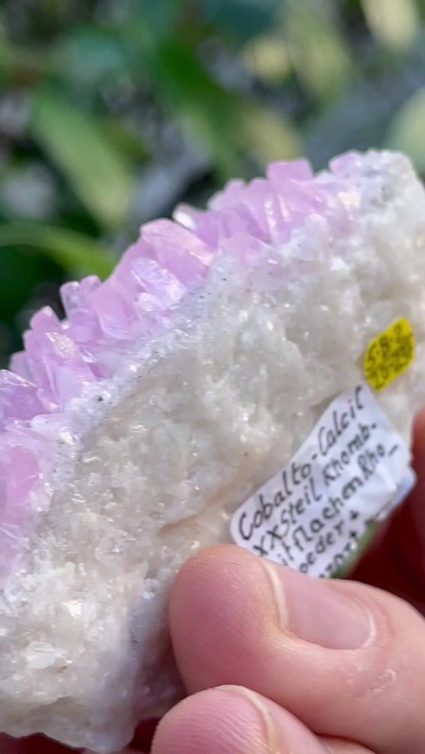 Thumbnail: Cobaltocalcit – Bou Azzer, Marokko