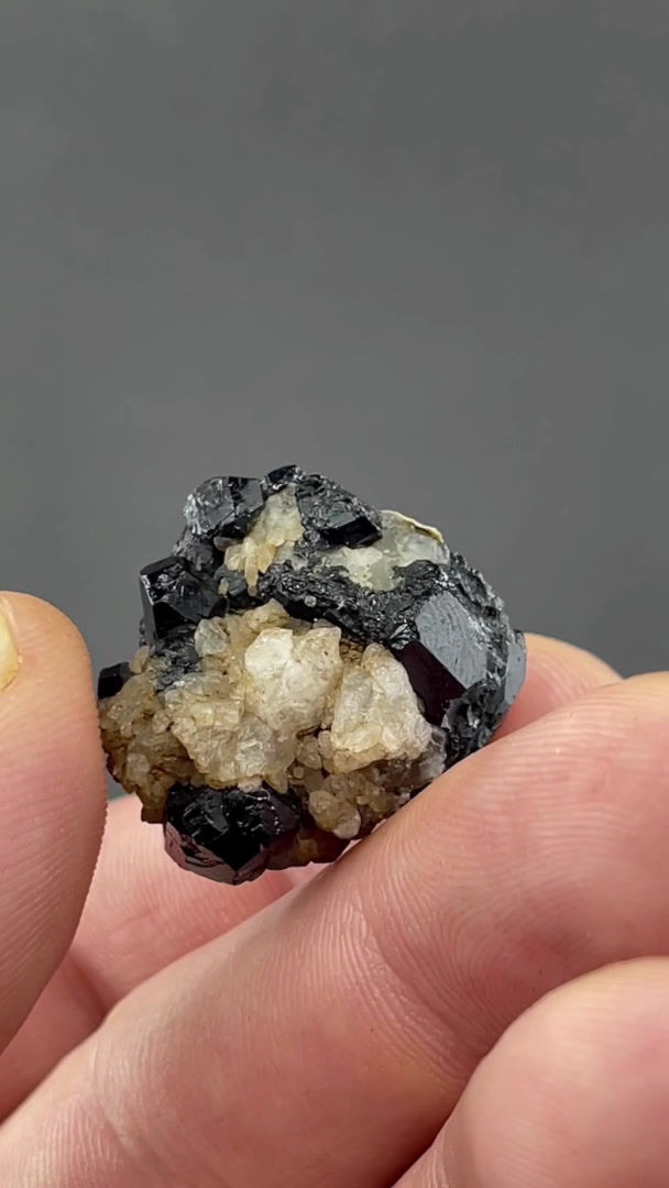 Thumbnail: Uvit – Power's Farm, Pierrepont, New York, USA