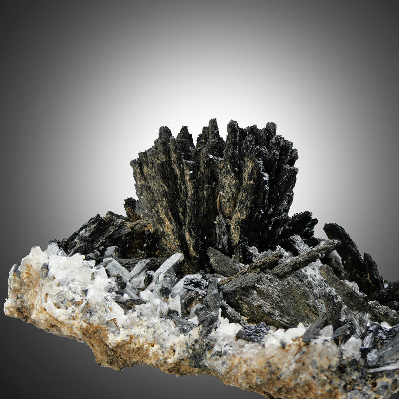 Thumbnail: Schorl - Blue Sky Project, Santa Cruz, Sonora, Mexico